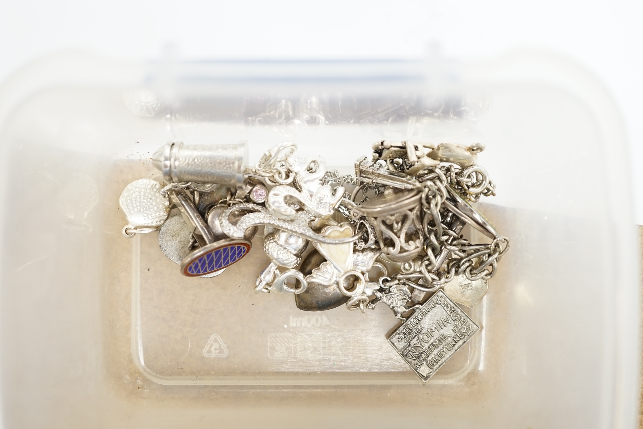 A small quantity of assorted jewellery including 925 charm bracelet, etc.